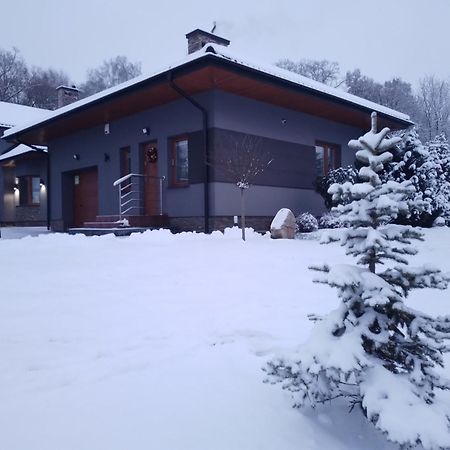 Domek Nad Zalewem Janow Podlaski Ngoại thất bức ảnh