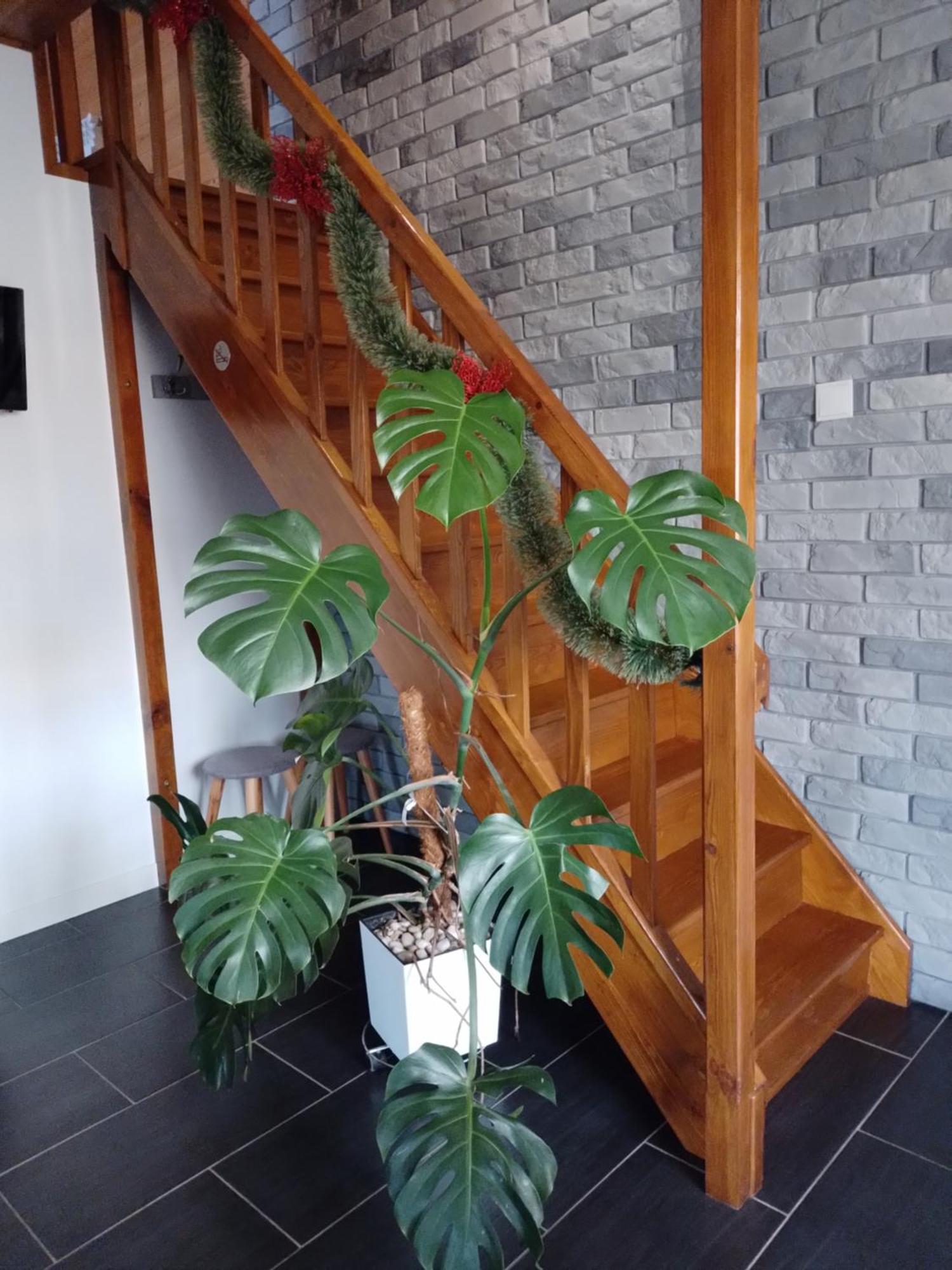 Domek Nad Zalewem Janow Podlaski Ngoại thất bức ảnh